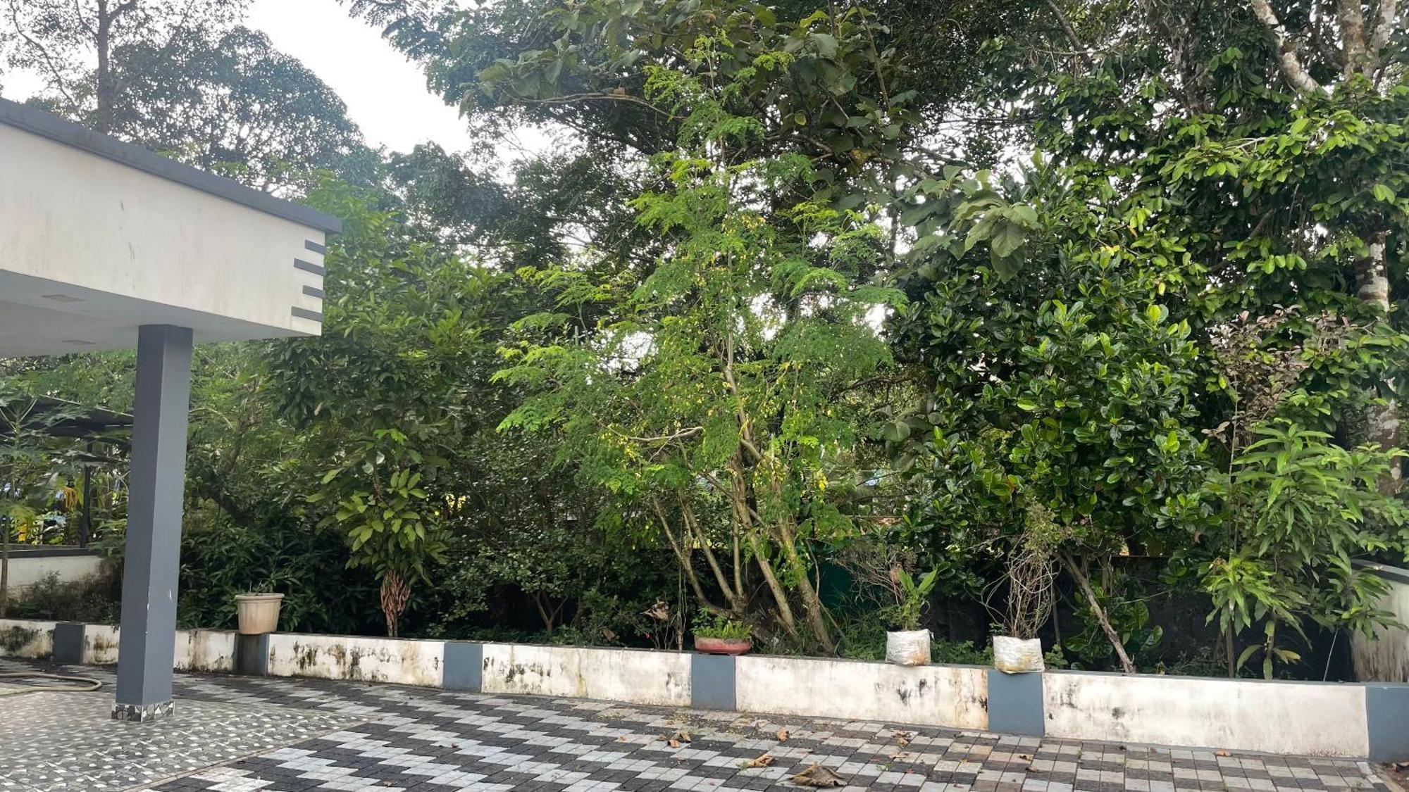 Ebs Guest House 尼杜巴塞莱 外观 照片